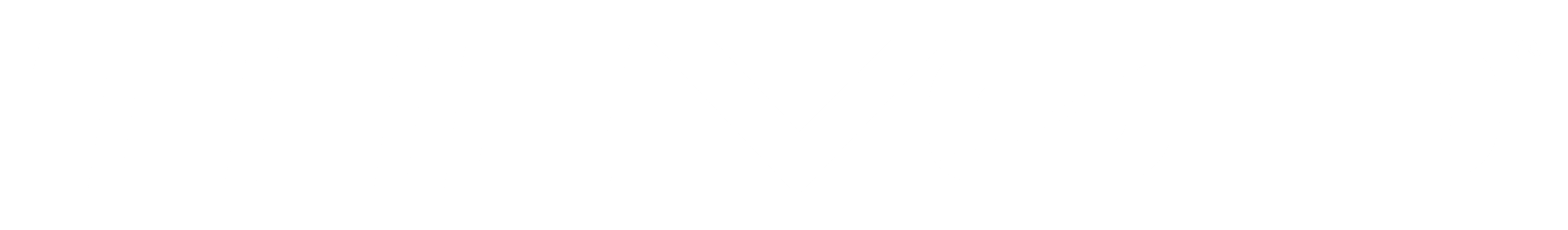VOID Logo